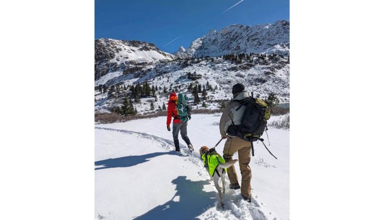 Missing College Hikers Colorado