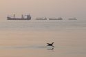 Iran Strait of Hormuz