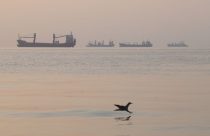 Iran Strait of Hormuz