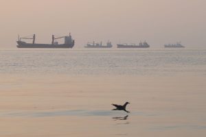 Iran Strait of Hormuz