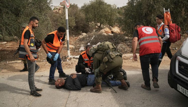 Photos show Israeli settler attacks disrupting the West Bank olive harvest
