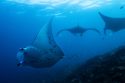 Climate Biodiversity Conference