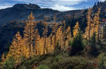 Washington Fall Foliage