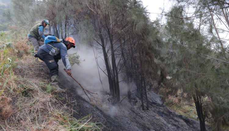 Indonesia Wildfires