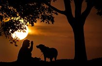 Be Well-Time Change-Explainer