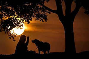 Be Well-Time Change-Explainer