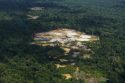 Suriname Amazon Forest Protection Takeaways