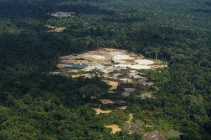 Suriname Amazon Forest Protection Takeaways