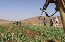 Afghanistan Poppy Cultivation