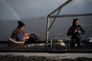 Chile Salmon Farms