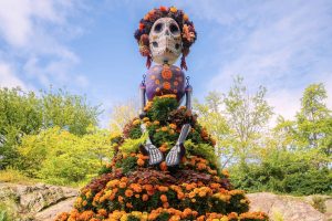 Gardening - Marigolds