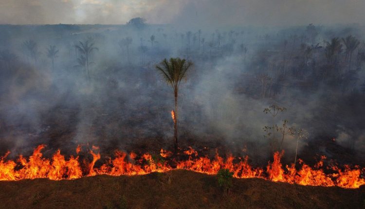 APTOPIX Brazil Wildfires