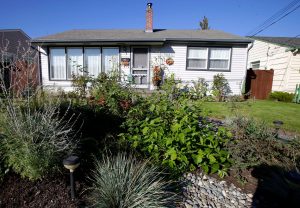 Gardening-Rain Gardens