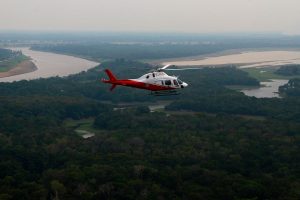 Brazil Amazon Wildfires