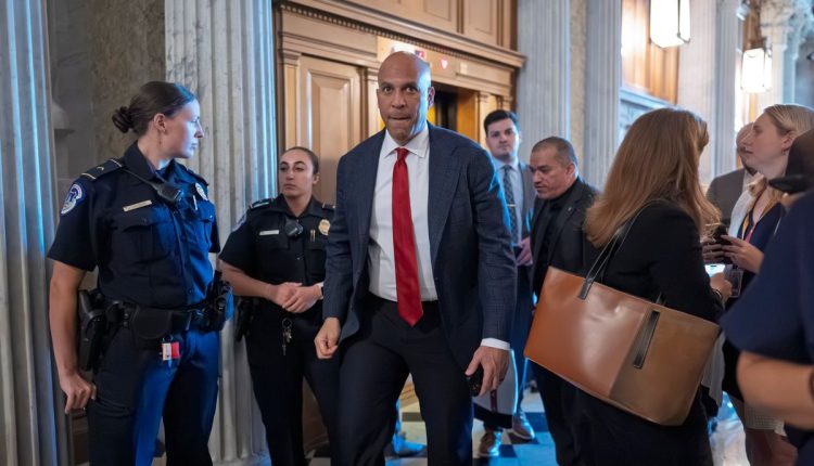 Election 2026 Senate