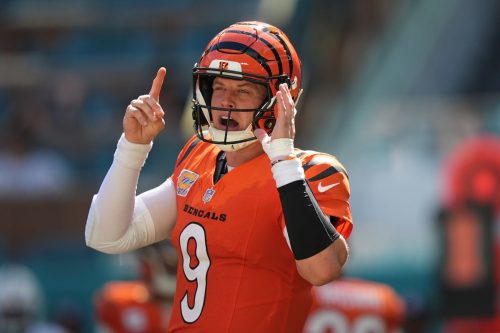 Bengals Dolphins Football