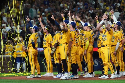 Banana Ball International Baseball