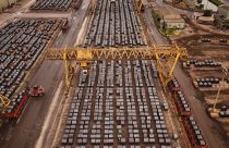 Election 2026 Tariffs