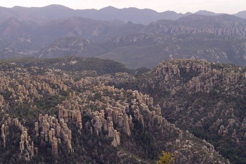 Chiricahua National Park