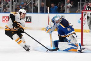 Bruins Blues Hockey