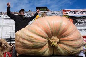 Giant Pumpkin Contest