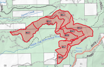 Hemlock Units Prescribed Burning