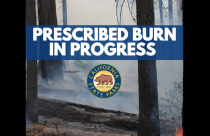 Prescribed Burning - California State Parks Image