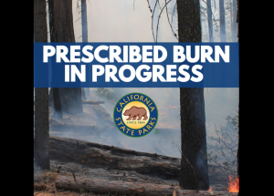 Prescribed Burning - California State Parks Image