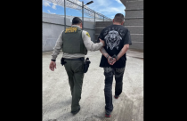 Jeonell Lua arrested - Madera County SO Image