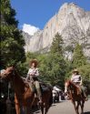 Yosemite Facelift—YNP photo